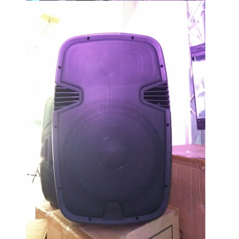 Caja acústica activa AS-E1501AR